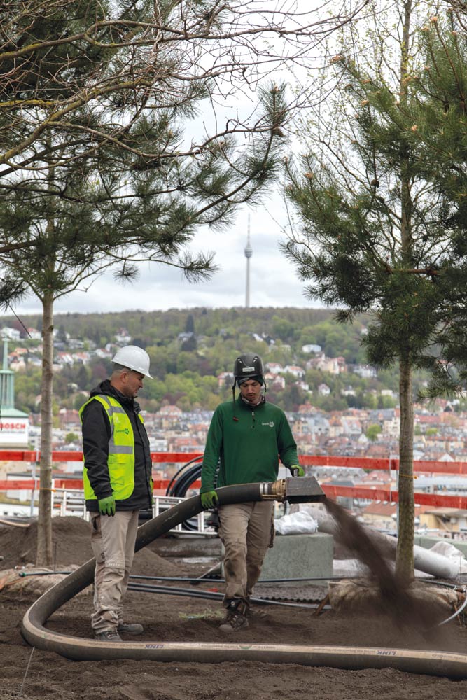 Baumpflanzung mit Baumsubstrat auf Calwer Passage Stuttgart